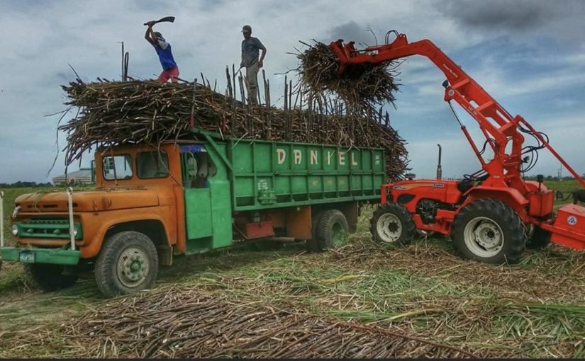 Land of Sugarcane